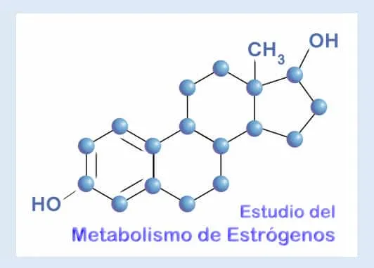 Estrógenos un estudio del metabolismo necesario