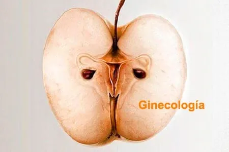Ginecología Integrativa